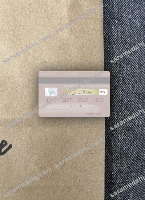 USA Payoneer visa photolook back